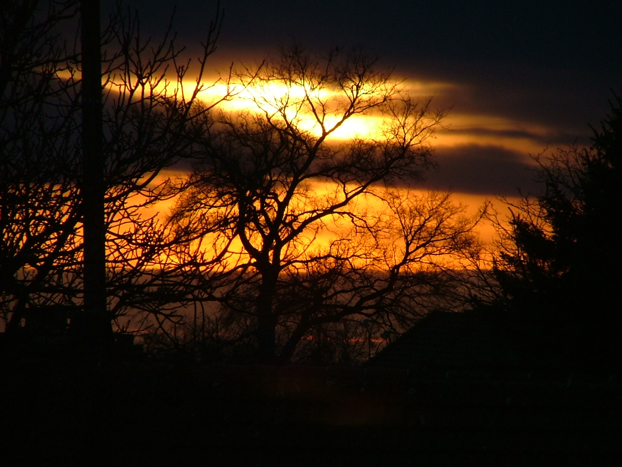 DSCF1299.JPG