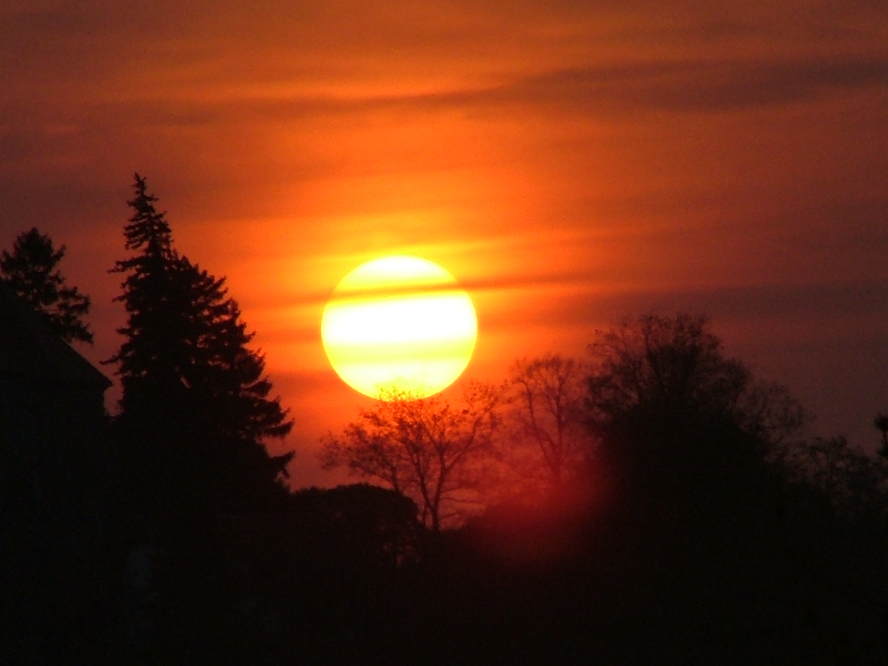 DSCF1308.JPG