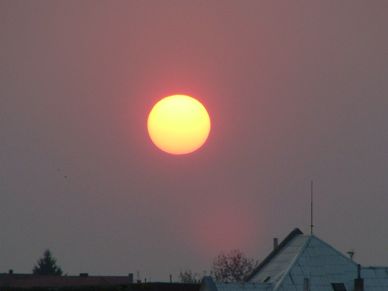 DSCF1309.JPG